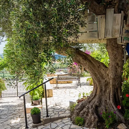 Bougainvillea Tree House Дом отдыха Chavriata